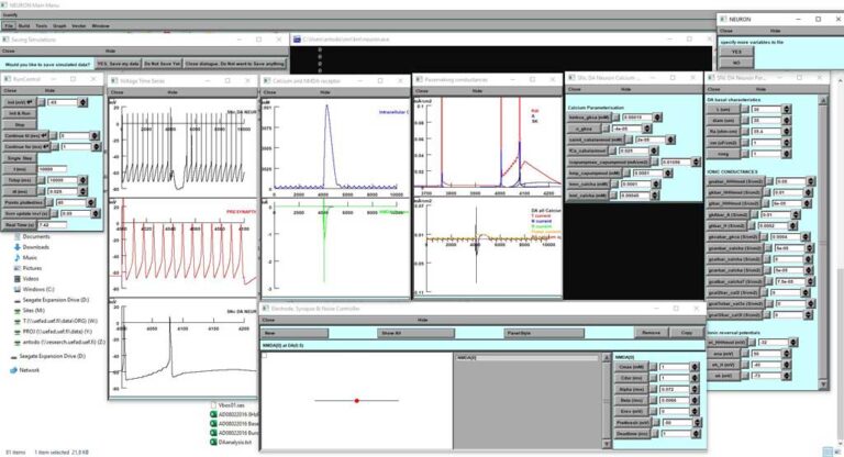 Read more about the article DOPAMINE NEURON
