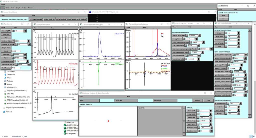 You are currently viewing DOPAMINE NEURON