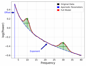 Read more about the article DO APERIODIC ELEMENTS OF EEG SIGNAL REFLECT EXCITATION INHIBITION (E/I) BALANCE?